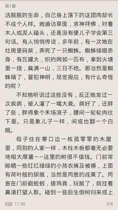 关于入境菲律宾的注意事项 海关会问什么